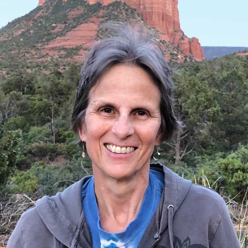 Julie Schmidt